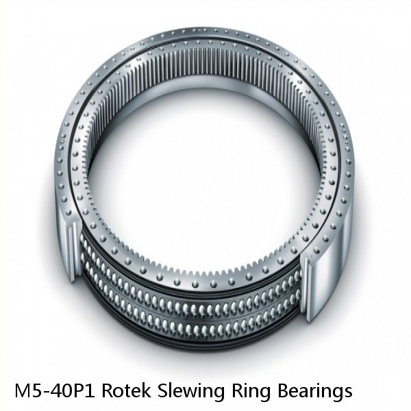 M5-40P1 Rotek Slewing Ring Bearings