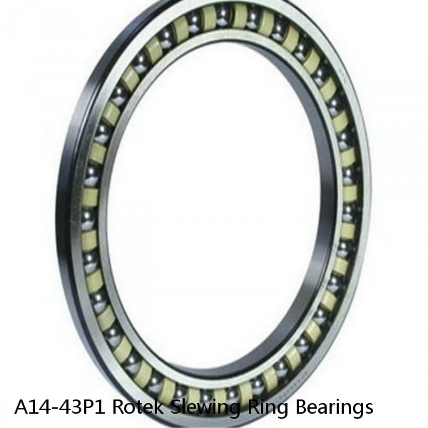 A14-43P1 Rotek Slewing Ring Bearings