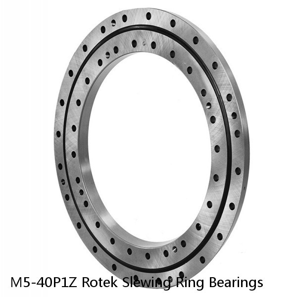 M5-40P1Z Rotek Slewing Ring Bearings