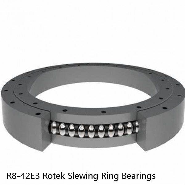 R8-42E3 Rotek Slewing Ring Bearings