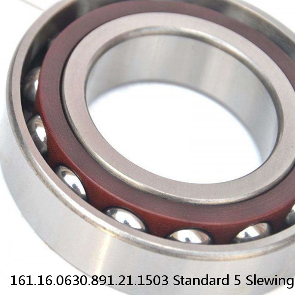 161.16.0630.891.21.1503 Standard 5 Slewing Ring Bearings