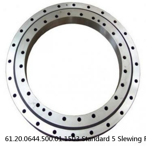 61.20.0644.500.01.1503 Standard 5 Slewing Ring Bearings