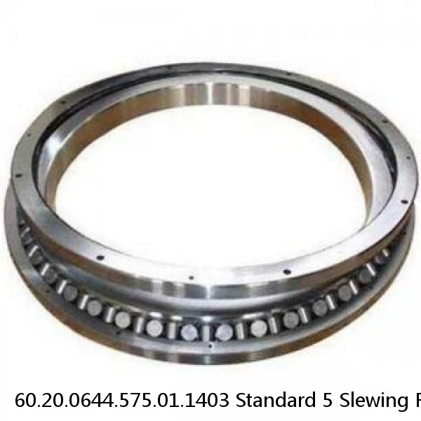 60.20.0644.575.01.1403 Standard 5 Slewing Ring Bearings