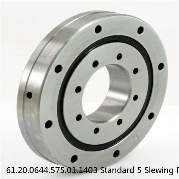 61.20.0644.575.01.1403 Standard 5 Slewing Ring Bearings