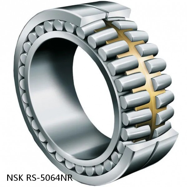 RS-5064NR NSK CYLINDRICAL ROLLER BEARING