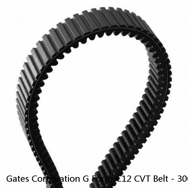 Gates Corporation G Force C12 CVT Belt - 30C3750