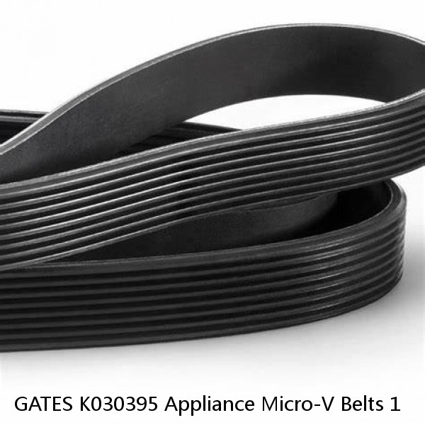 GATES K030395 Appliance Micro-V Belts 1